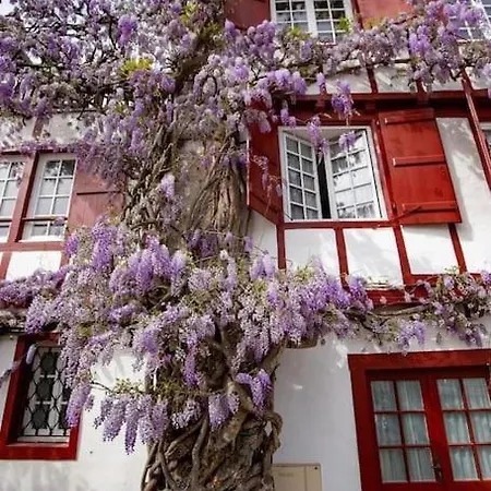 Loft Au Centre Ville, Calme, 200m De La