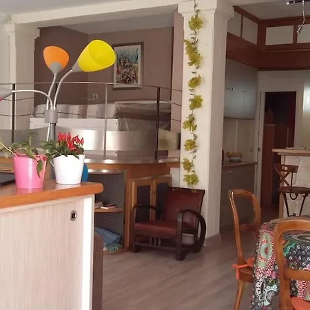 Apartament Loft Au Centre Ville, Calme, 200m De La *